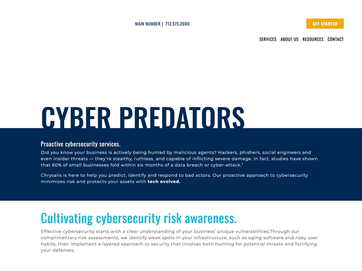 Old Chrysalis cybersecurity page opening with the phrase Cyber predators.