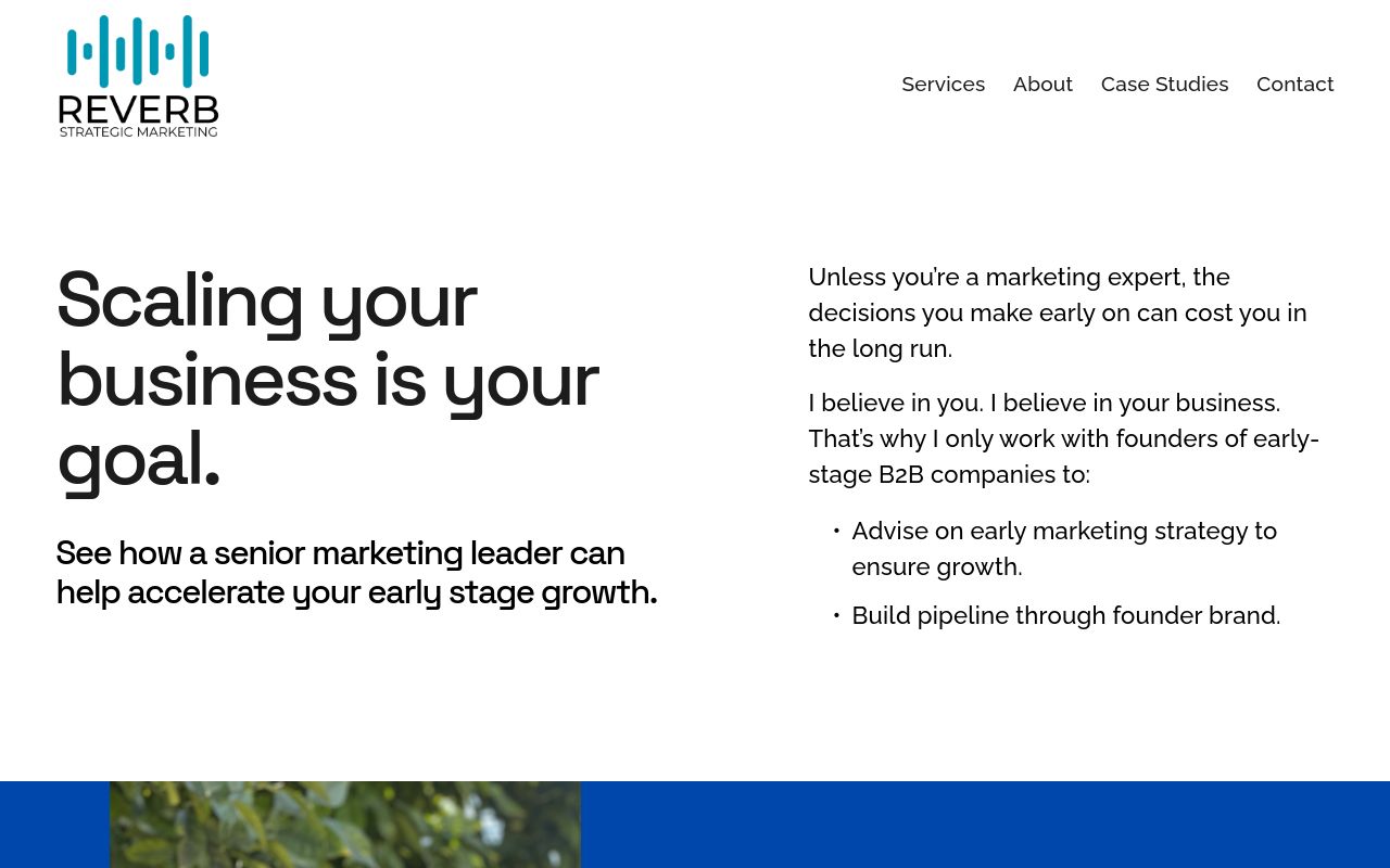 Homepage of reverbstrategic.com, the marketing advisory founded by Chris Downey