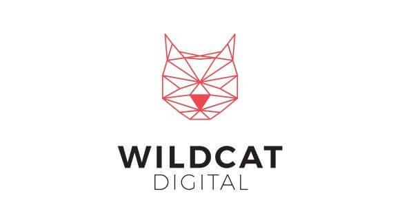 3. Wildcat Digital logo