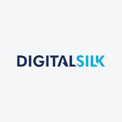 13. Digital Silk logo