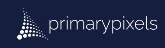 10. Primary Pixels logo