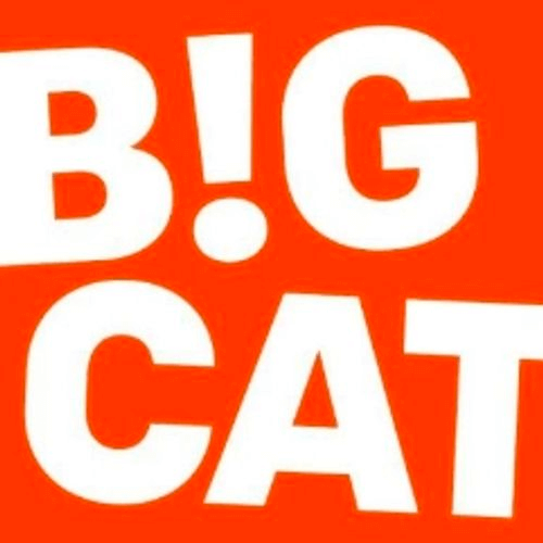 Big Cat logo