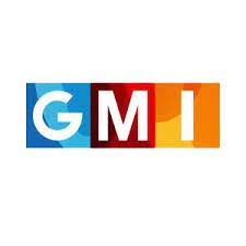 Global Media Insight logo