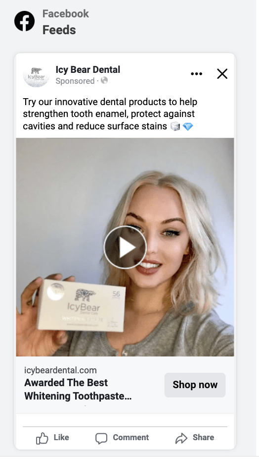 Icy Bear Facebook ads ROAS summary