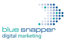 Blue Snapper Digital Marketing logo