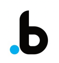 Point.b Agency logo