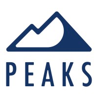Peaks Digital Marketing logo
