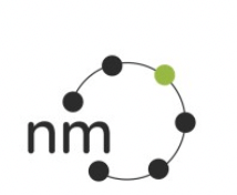 Net Mechanic logo