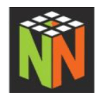 DesigNNish logo