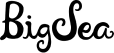 Big Sea logo