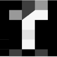 Tribal Internet Marketing logo