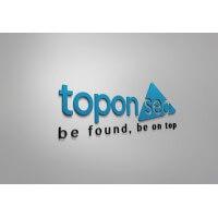 TopOnSEO logo