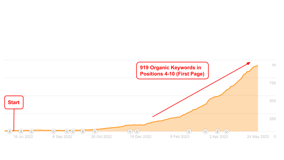 Chart of Bonnet keyword rankings in positions 4 to 10 growing from 11 to 919