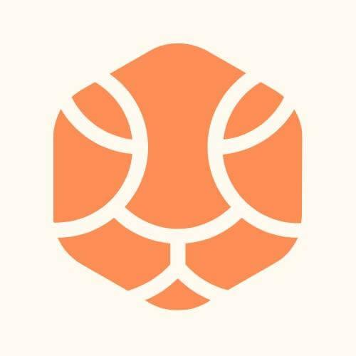 SimpleTiger logo