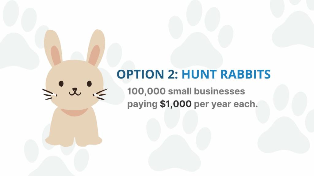 An illustration of a rabbit with the text "option 2: hunt rabbits - 100,000 small businesses paying $1,000 per year each" written beside it.