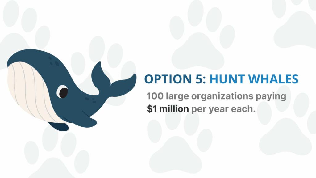 An illustration of a rabbit with the text "option 2: hunt whales - 100 large organizations paying $1 million per year each" written beside it.