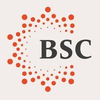 SAYG B.S.C. logo