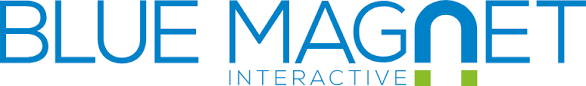 8. Blue Magnet Interactive logo