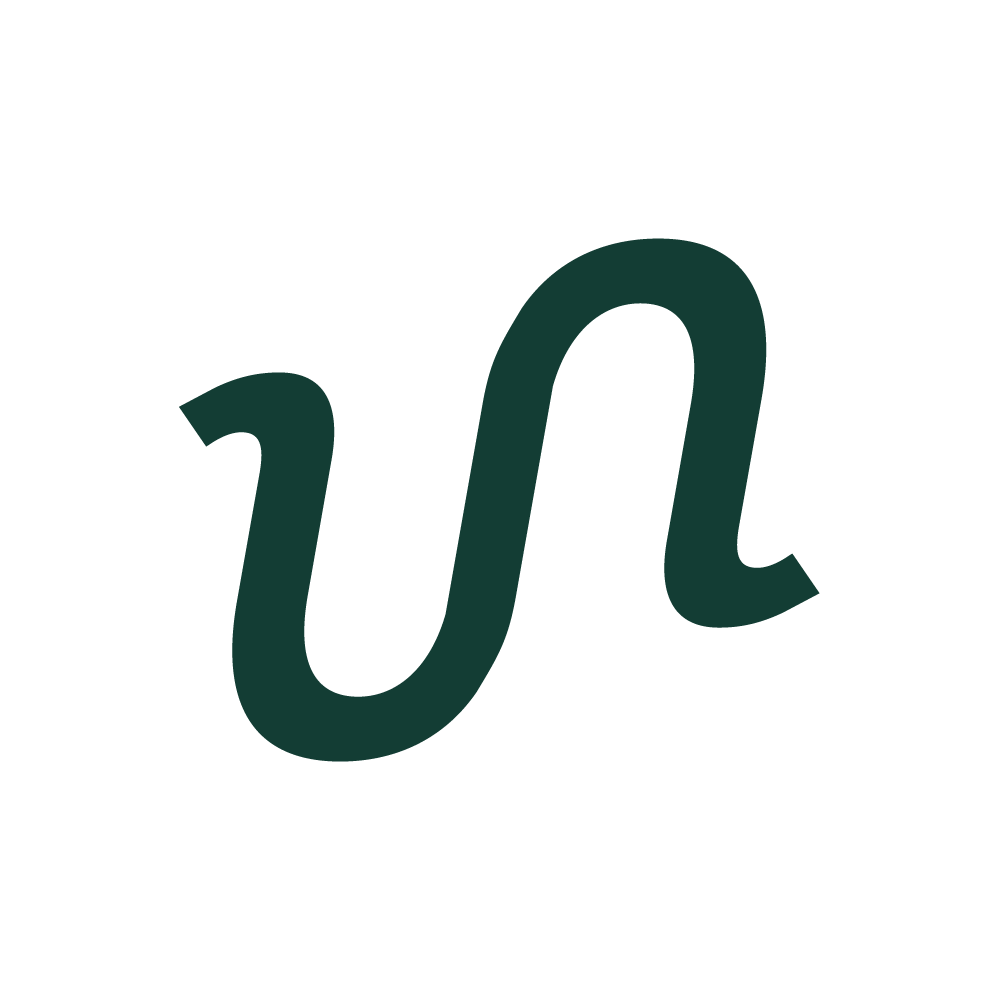 9. Flow Agency logo